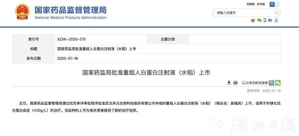 场外配资 二十年磨一剑，全球首创“稻米造血”新药获批上市