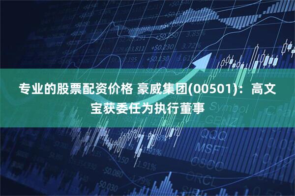 专业的股票配资价格 豪威集团(00501)：高文宝获委任为执行董事